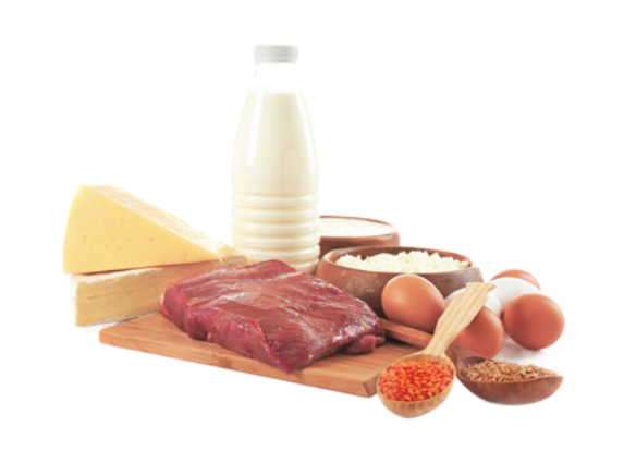 Protein foods