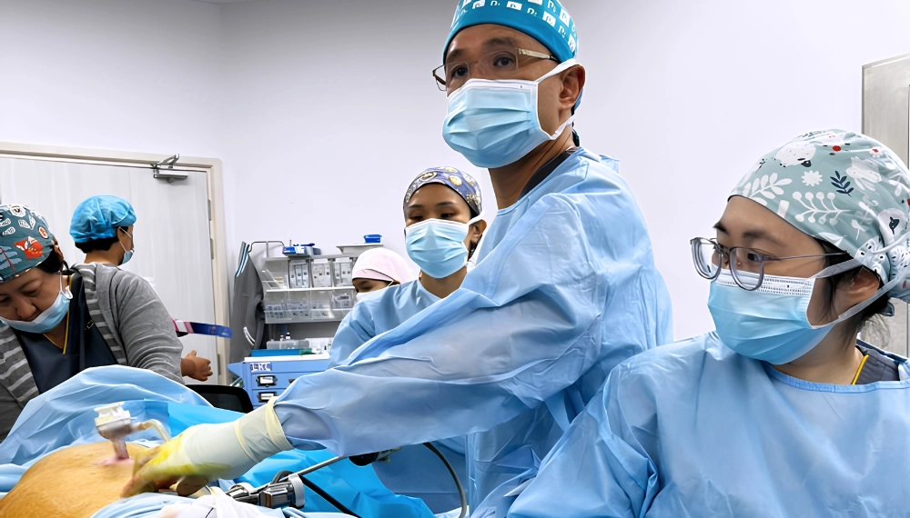 First Robotic Oesophagectomy Performed at Hospital Picaso